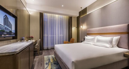 Novetel Shanxi Yuncheng Room Type - STANDARD ROOM, 1 Kingsize Bed