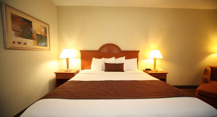 BEST WESTERN PLUS EDISON INN Room Type - Accessible - 1 Queen, Mobility Accessible, Bathtub, Non-Smoking, Full Breakfast