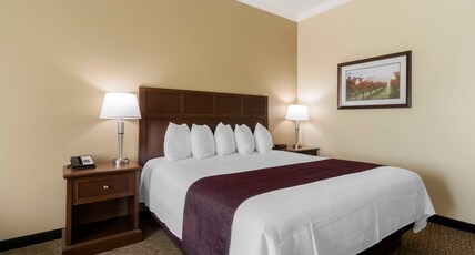 Best Western Plus Grapevine Inn Room Type - 1 King Bed, Communication Assistance, Non-Smoking, Full Breakfast