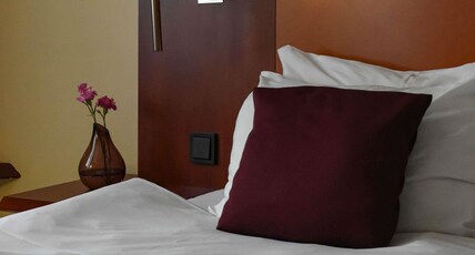 Mercure Opole Room Type - Standard Room with 1 double bed