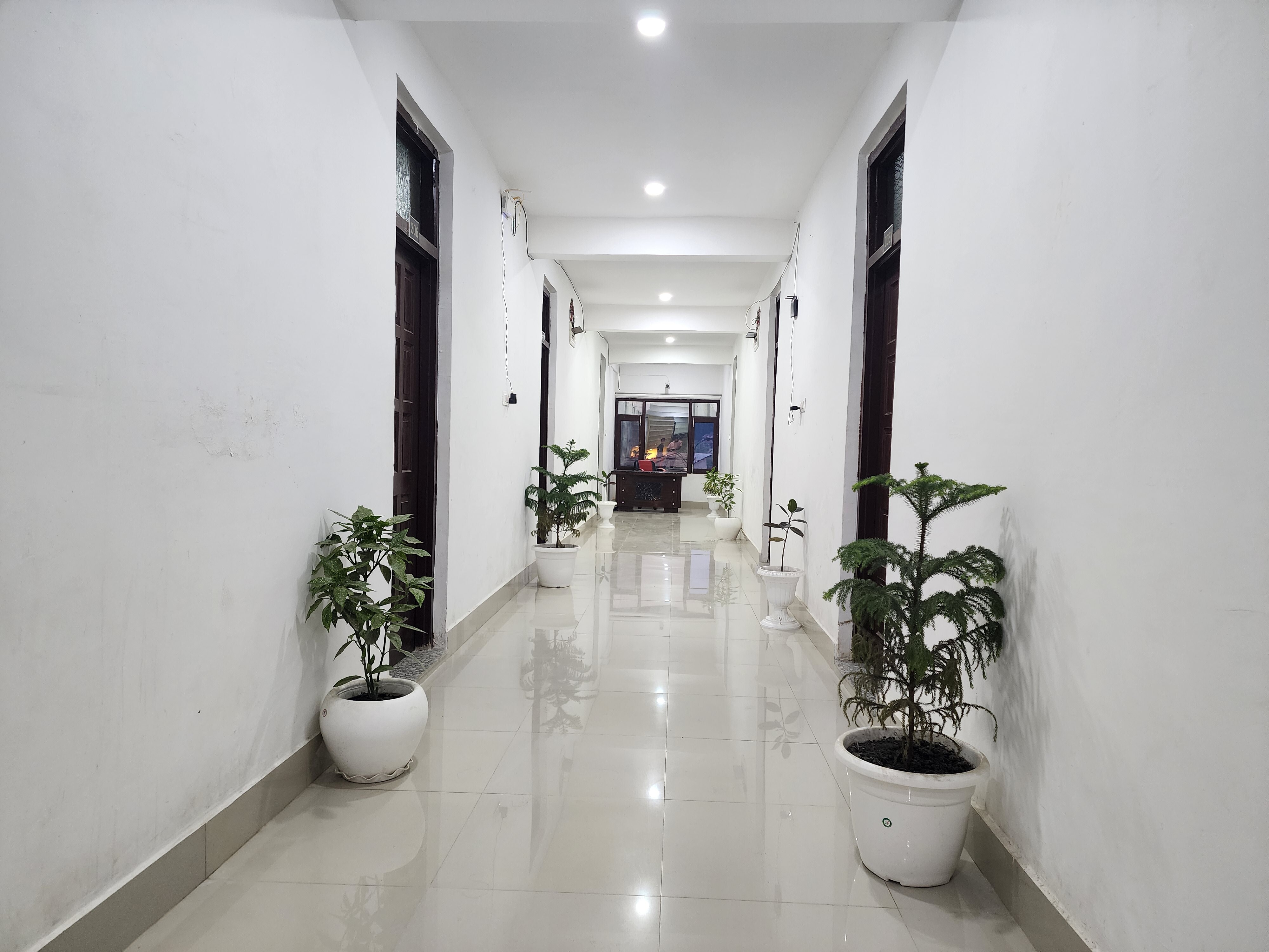 Main gallery