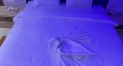 Alexa Hotel & Resturent Room Type - Suite Room