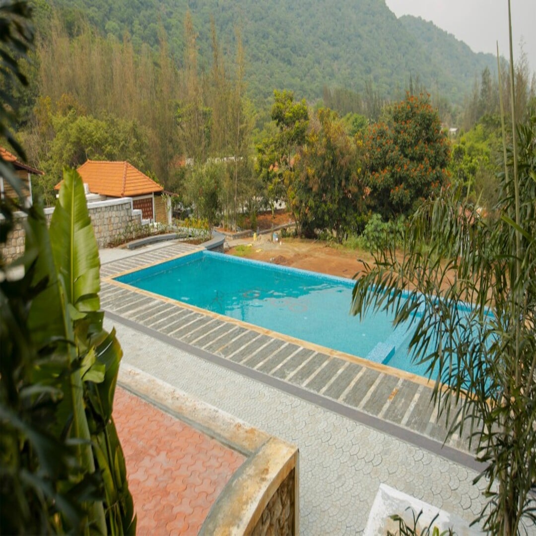 Aara Jungle Resort - Tap to explore photos