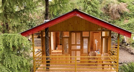Sunshine Tree cabin Room Type - Sunshine Tree cabin