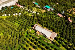 Banjara Camps And Retreat Sangla