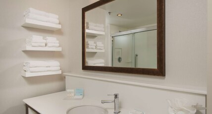 Hampton Inn & Suites by Hilton Braselton Room Type - 1KG VINE VW STDO WETBR NS