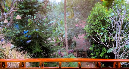 Mango Villa Varkala Room Type - NON-AC Room With Garden View