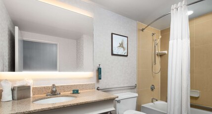DoubleTree by Hilton Hartford - Bradley Airport Room Type - 1DBL MOB HEAR ACC W TUB NS