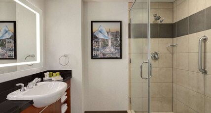 Hilton Baltimore BWI Airport Room Type - 1KG MOB HEARING ACC 3X3SHW