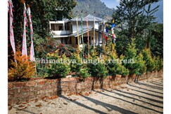 Himalaya Jungle Retreat, Namchi