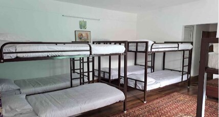 Blossom Inn ooty Room Type - Daffodils