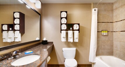 Holiday Inn Express Hotel & Suites Butte Room Type - STANDARD ROOM NONSMOKING
