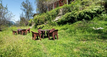 Jibhi Trout Homestay Room Type - DELUXE ROOM WITH GARDEN VIEW