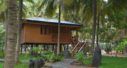 CS GRAND ADVENTURE RESORT Room Type - Tree Top Honeymoon Suite