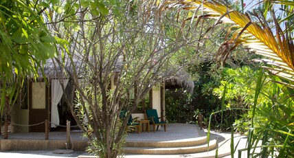 Coco Palm Dhuni Kolhu Room Type - Sunset Beach Villa