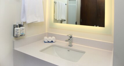 Holiday Inn Express MONTERREY GALERIAS-SN JERONIMO Room Type - 1 King Suite
