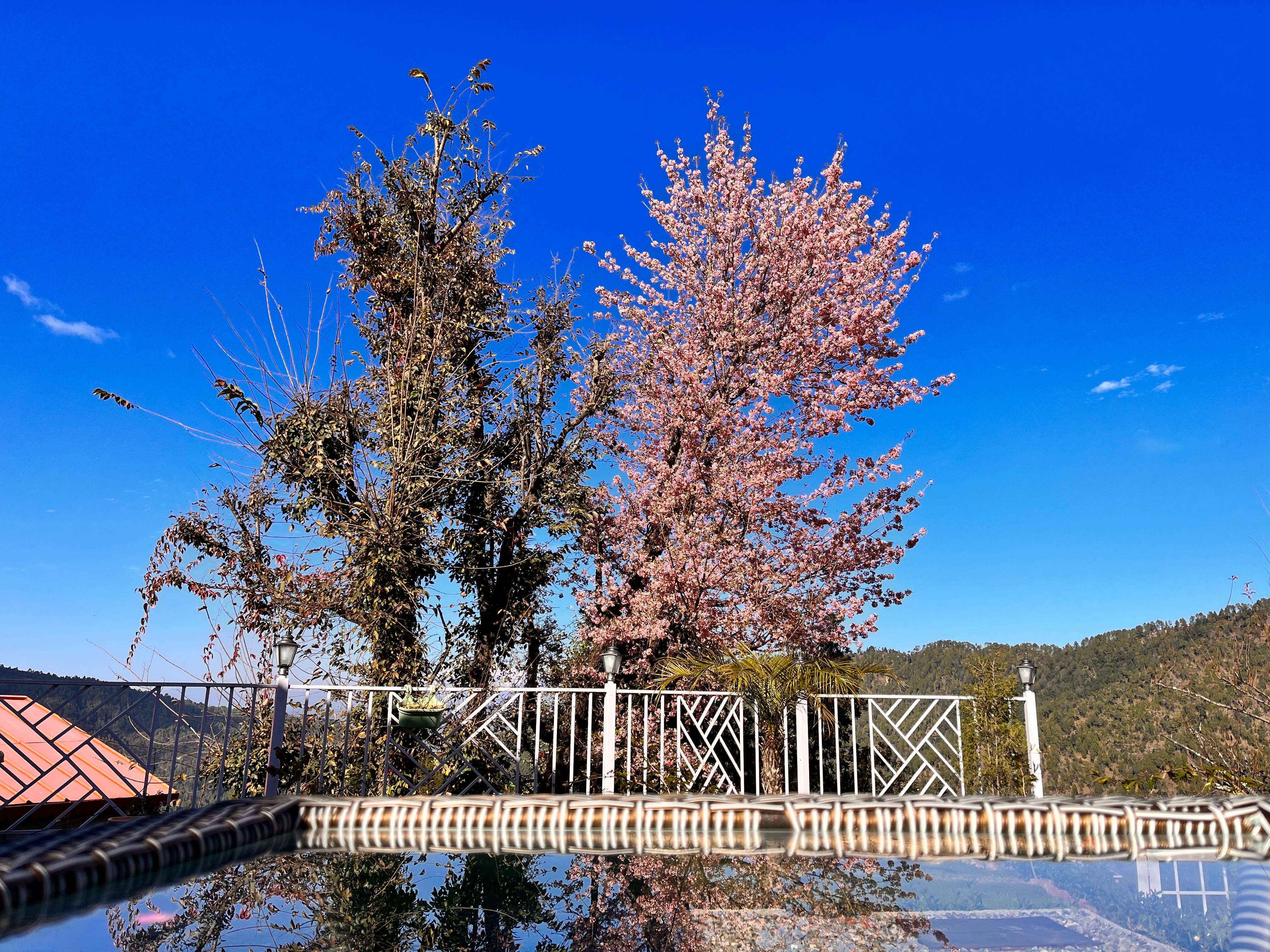 Devamos Mukteshwar Resort - Tap to explore photos