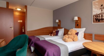 Mercure Cieszyn Room Type - Air-conditioned Standard Room with 2 twin beds