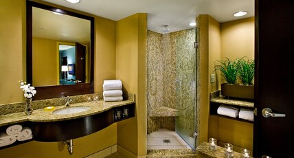 Crowne Plaza Lombard Downers Grove Room Type - 1 King 1 Bdrm Ste Comm Access Roll Shwr