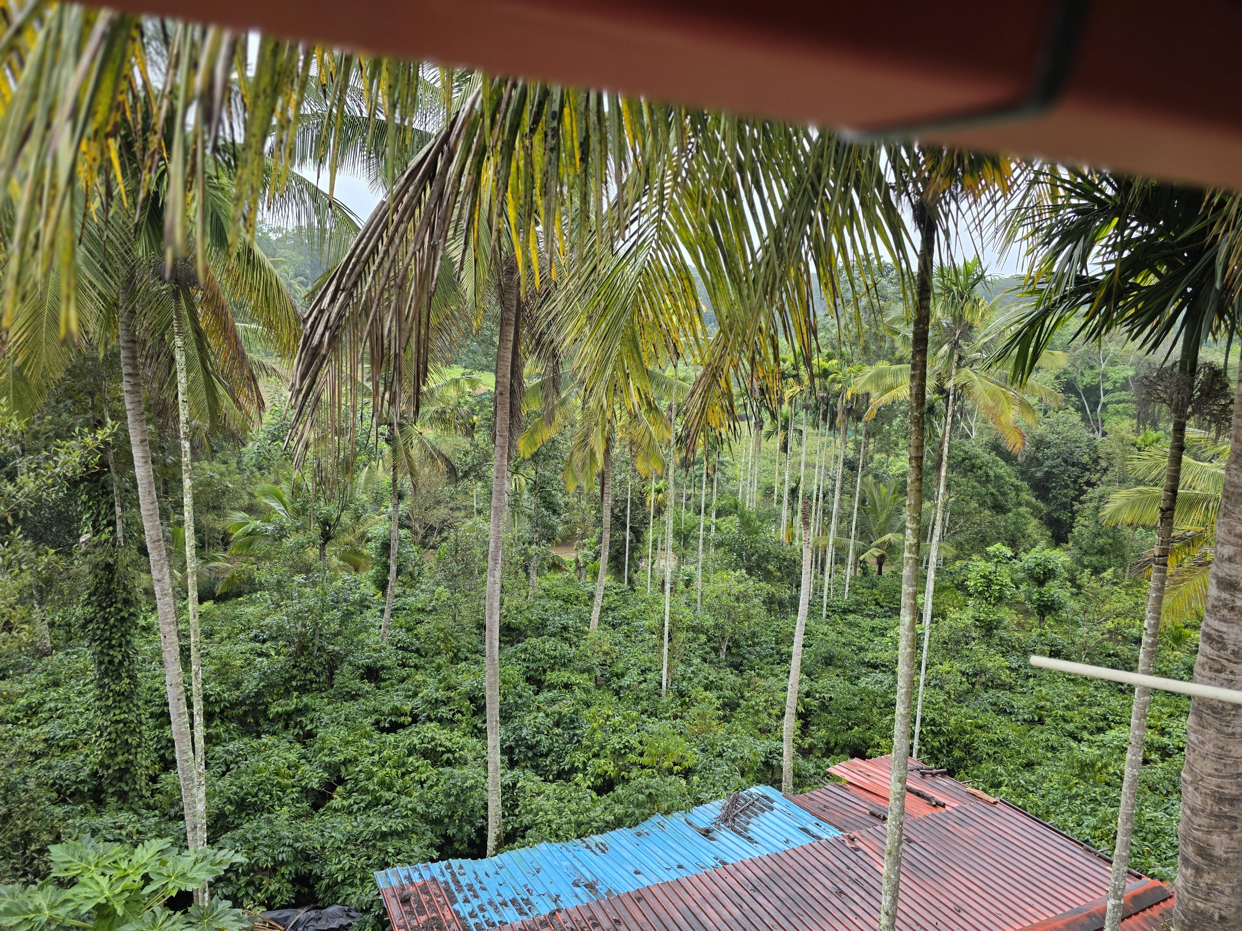 Aimara homestay, Kushalnagar - Tap to explore photos
