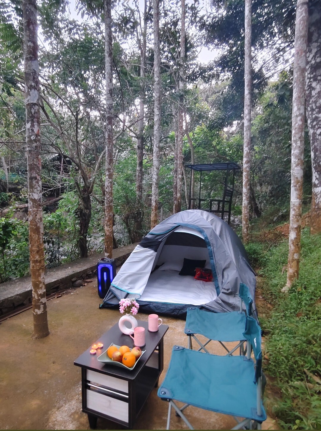 Nature Escape: Cozy Tent Retreat Riverside - Tap to explore photos