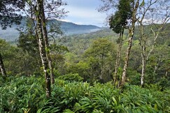Address of Valley Homestay Munnar