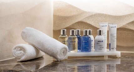 Radisson Blu Hotel, Jeddah Al Salam Room Type - Standard Room