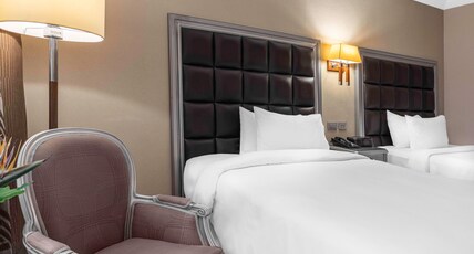 Hilton Alexandria Corniche Room Type - TWIN DELUXE ROOM FULL SEA
