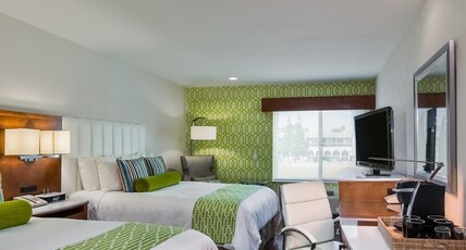 Hotel Indigo ANAHEIM, an IHG hotel Room Type - 2 Queen Standard Mobility Roll in Shower