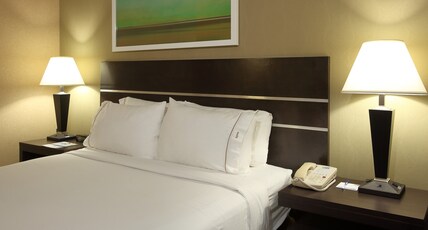 Holiday Inn Express & Suites VERNON Room Type - 1 King Bed Standard Sofa Bed