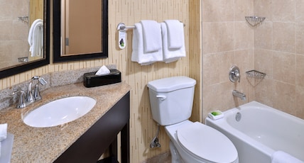 Holiday Inn Express HUNT VALLEY Room Type - 1 King Standard