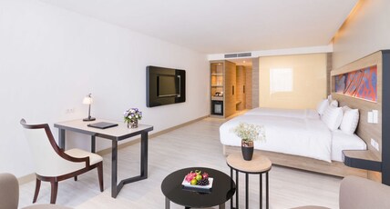 Novotel Phuket City Phokeethra Room Type - Executive Twin Bed