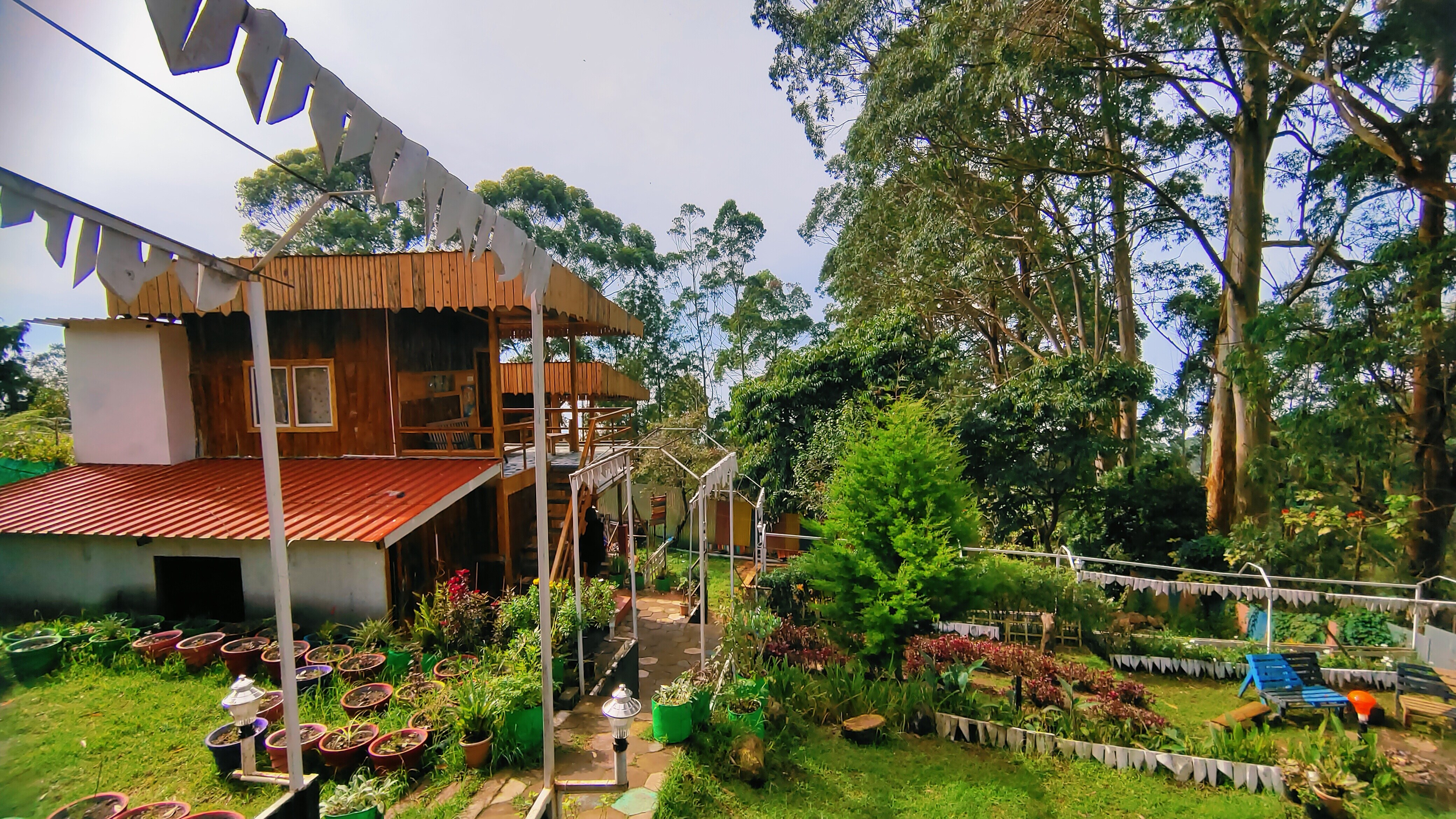 Dolphin Valley  Backpackers Hostel - Tap to explore photos