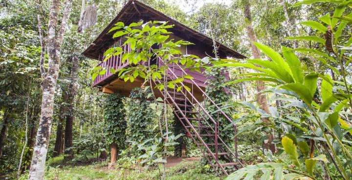 Sunbird Garden Resort - Tap to explore photos
