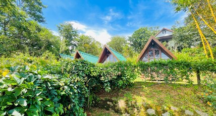 Camp Lights Munnar Room Type - Log House