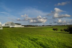 Holiday Inn Express London-Epsom Downs