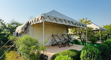 Jungle Book Ranthambore Room Type - Luxury Swiss Tents