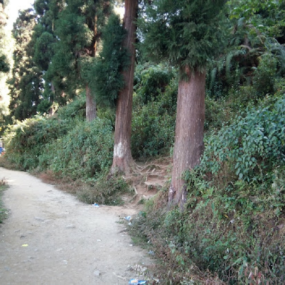 Hotel Aristocrat, Darjeeling - Tap to explore photos