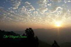 Bright Sunny Pines Hotel And Resort