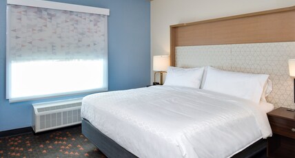 Holiday Inn FORT WORTH - ALLIANCE Room Type - 1 King Standard