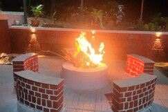 Discover The Magic Of The Forest