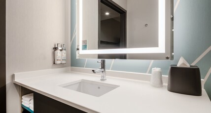 avid hotels TORONTO - VAUGHAN SOUTHWEST Room Type - 1 King Standard Mobil Access Roll In Shower