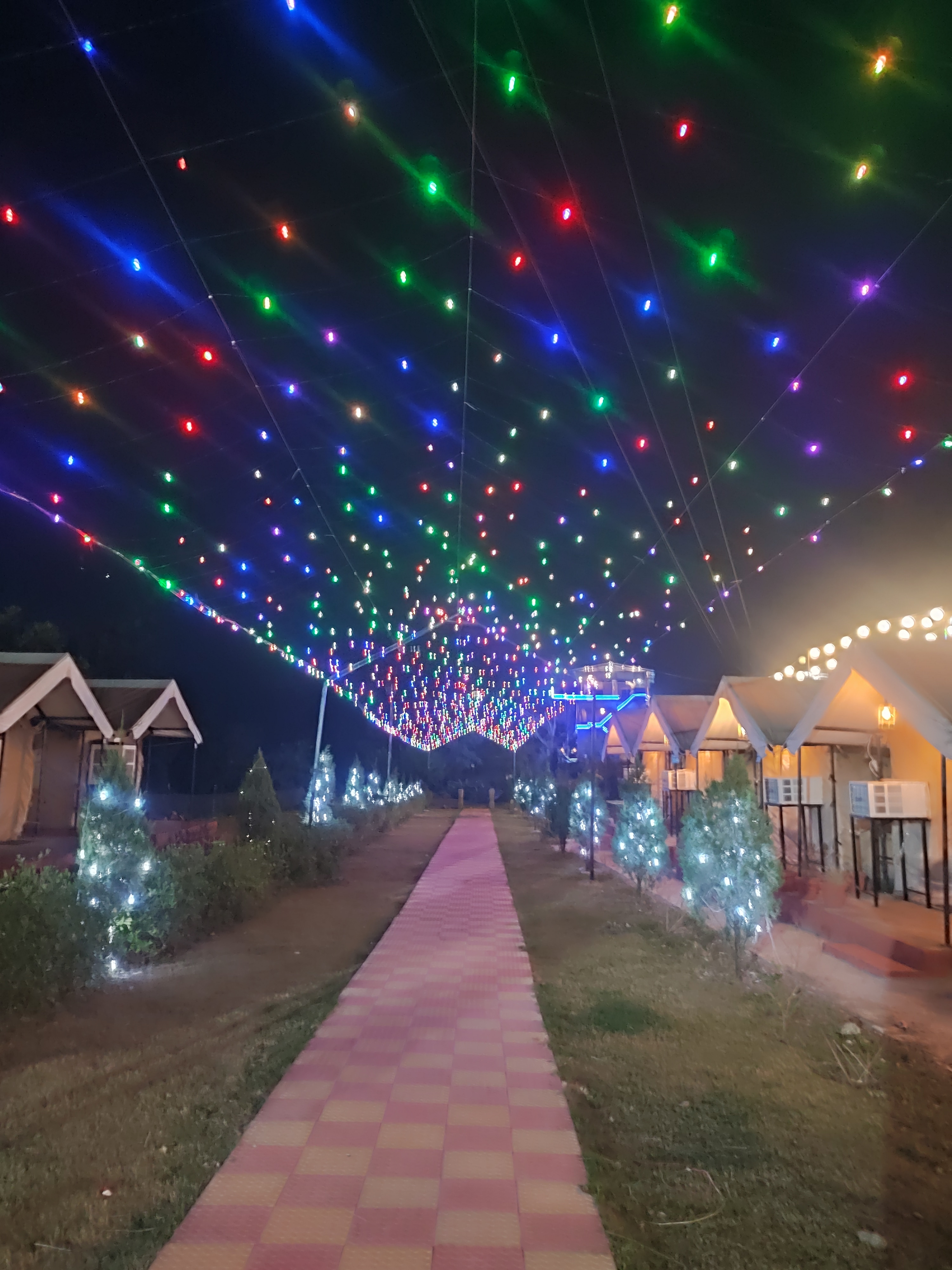 The Jungle Mist Resort - Tap to explore photos