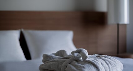Pullman Basel Europe Room Type - Deluxe Room with twin beds or one king-size bed