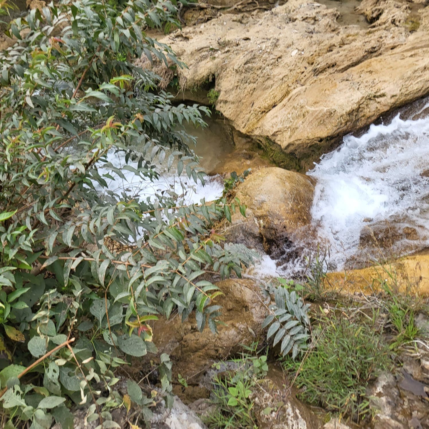 Neerville Waterfall Glamping 40 Minutes Trek - Tap to explore photos