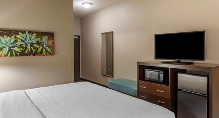 Holiday Inn Express Indio Room Type - 1 King Bed Standard