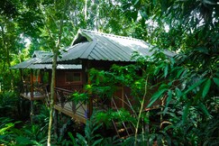 Monsoon Retreat By Daan