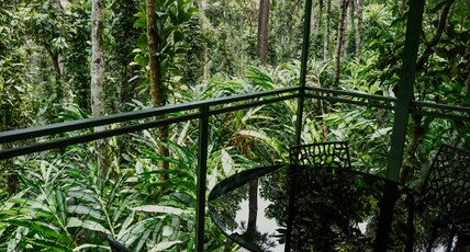 SpiceBuds FarmStay - Ramakkalmedu Room Type - TreeHouse Cottage 1- Cardamom View