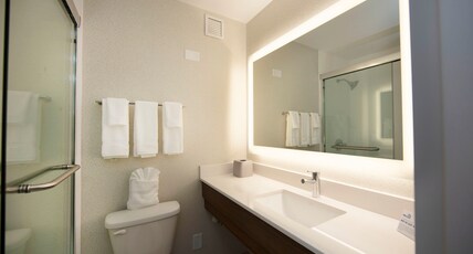 Holiday Inn Express ATHENS-UNIVERSITY AREA Room Type - 1 King Bed Standard