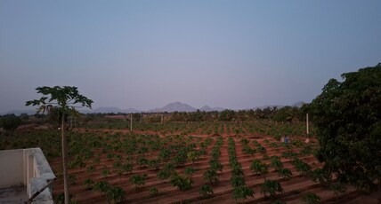 Home stay (villag) Room Type - Home stay (villag)